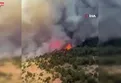 Doğanhisar ormanı alev alev!