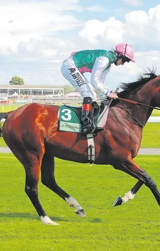 Yarış dünyasının efsane atı Frankel sahibini zengin etti! Aşılama başına 250 bin sterlin alıyor...