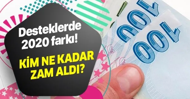 desteklerde 2020 farki 65 yas