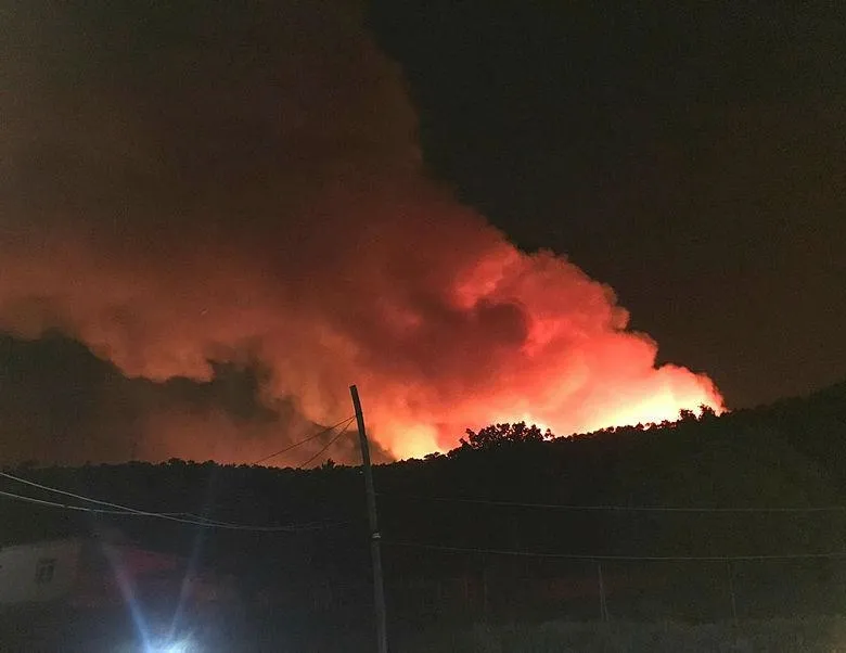 Kütahya’da orman yangını