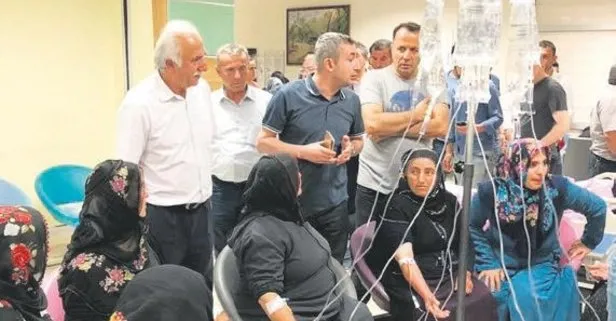 Serum kardeşliği!