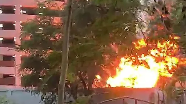 Son dakika: Tayland'da bir asker kalabalığa ateş açtı! Çok sayıda ölü var-5