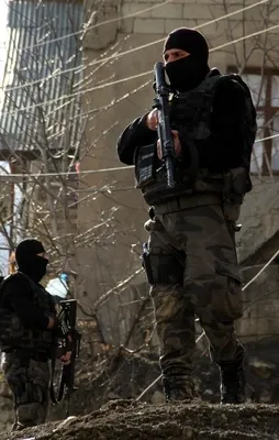 Bingöl'de üst düzey PKK'lılara operasyon