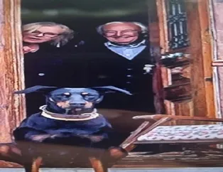 Korhan Berzeg cinayete mi kurban gitti? Avukatından dikkat çeken açıklama: Kafamızda soru işaretleri var