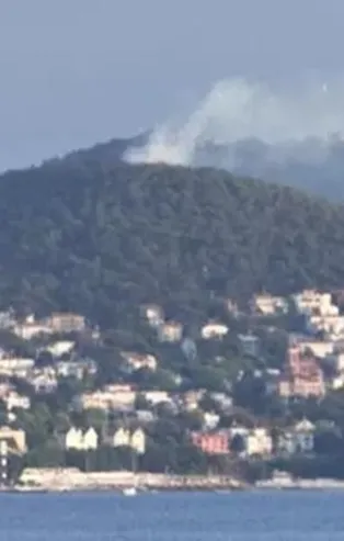 Son dakika: Büyükada'da ormanlık alanda yangın!