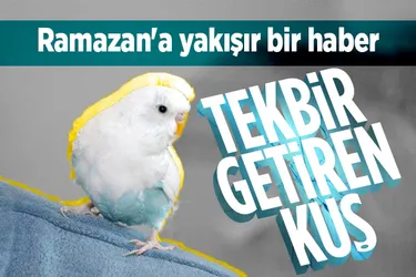 Tekbir getiren muhabbet kuşu