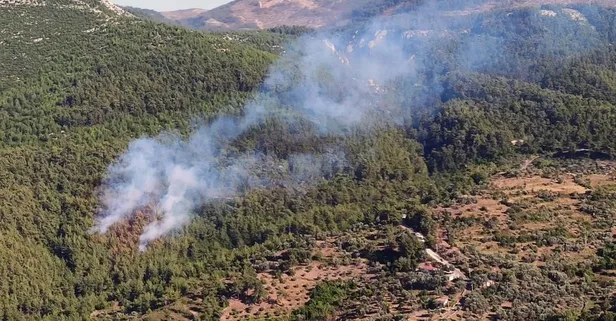 Milas’ta korkutan orman yangını!