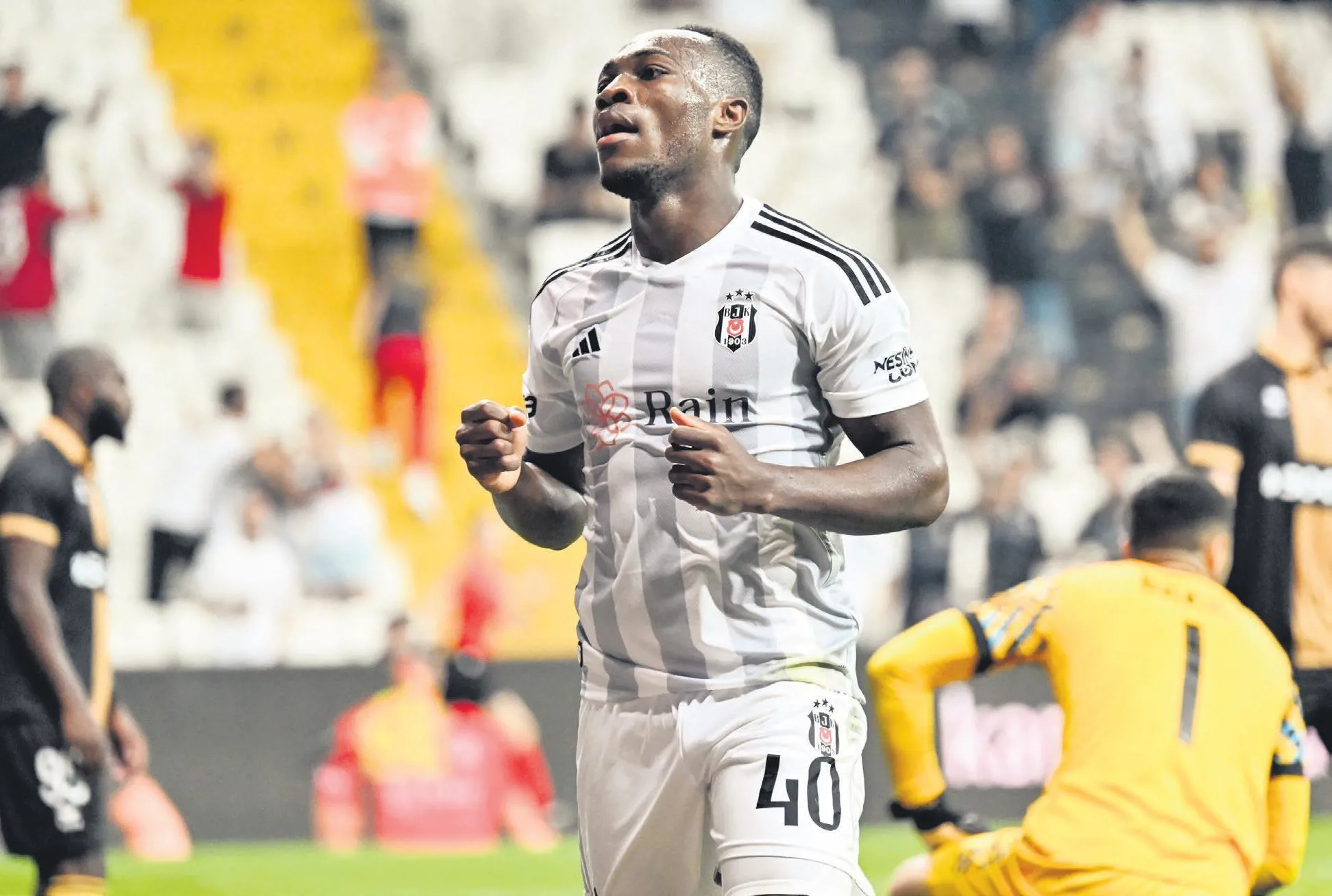 Muleka’ya körfez kancası