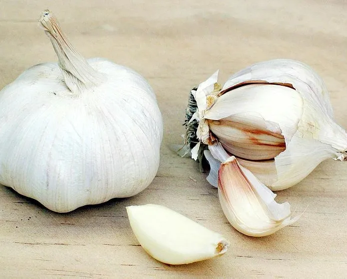 Uzun ömrün sırrı sarımsak