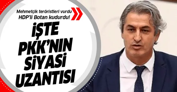 PKK'ya vurulan darbeler HDP'li Botan'ı kudurttu!