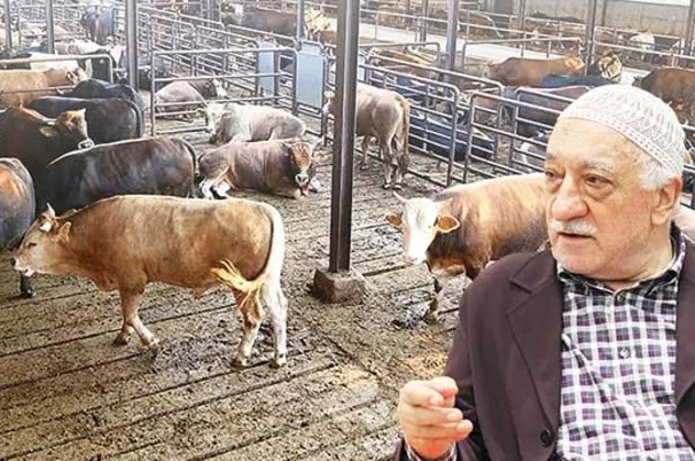 Şarbon değil FETÖ virüsü çıktı