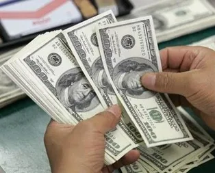 Dolar 1.5 ayın dibini gördü