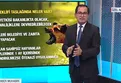 AK Parti’nin yasa taslağına A Haber ulaştı! İşte başıboş köpek düzenlemesinde detaylar