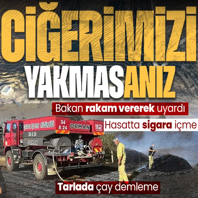 Anız yakma, yaktırma! Tarım ve Orman Bakanı İbrahim Yumaklıdan çiftçiye yangın uyarısı: Hasatta sigara içme, tarlada çay demleme