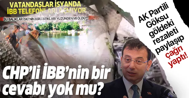 İBB AK Parti Grup Başkanı Tevfik Göksu göldeki rezaleti paylaşıp çağrı yaptı: İBB’nin bir cevabı yok mu?