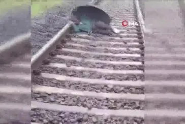 Canı hiçe sayarak raylarda uyudu! Makinistin dikkati sayesinde ölümden döndü