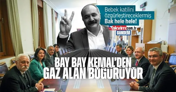 HDPKK’lı Berdan Öztürk’ten skandal vaat: Abdullah Öcalan’ı özgürleştireceğiz