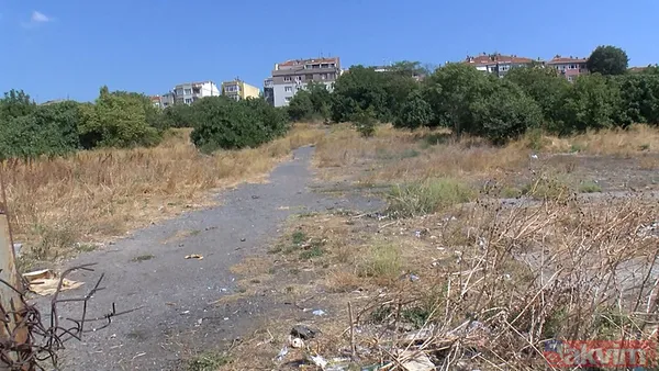 Fatih'te başıboş sokak köpeği vahşeti: 1 kişi hayatını kaybetti | Dehşeti anlattılar: Boğazını ısırıp kopartmışlar - 6