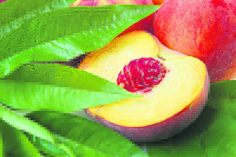 3 günde 3 kilo verdiren herkesin merak ettiği şeftali diyeti! - 4