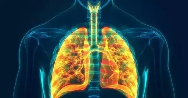 Yeşil renkli sebzeler bağışıklığı güçlendirip bronşiti yeniyor!