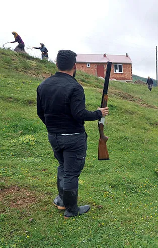 Trabzon'da aç kurtlar hayvan sürülerine saldırdı