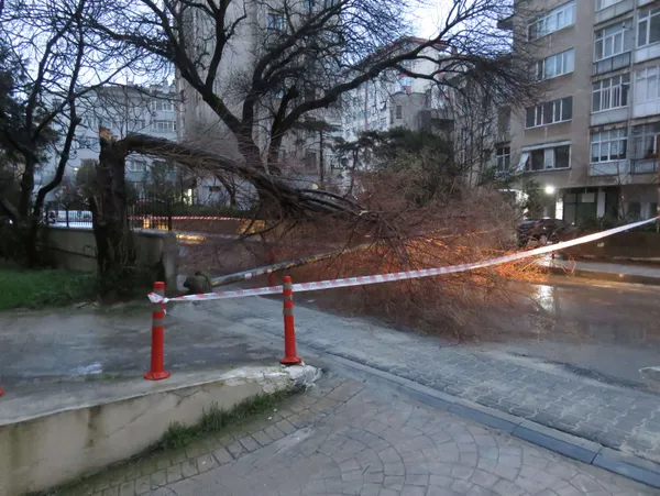 istanbulda-firtina-siddetli-ruzgar-nedeniyle-kadikoyde-agac-ve-aydinlatma-diregi-devrildi-1641969130332.jpg İstanbul'da fırtına! Şiddetli rüzgar nedeniyle Kadıköy'de ağaç ve aydınlatma direği devrildi-6
