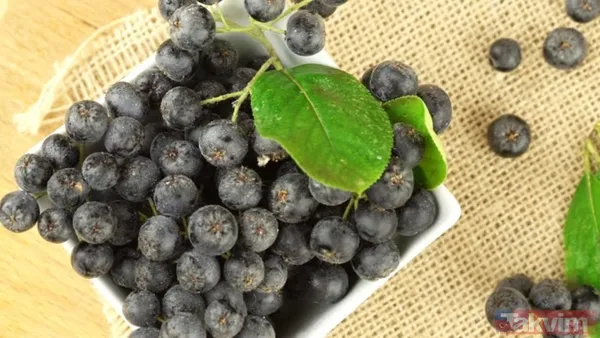 Süper meyveyle tanışın! Bilimsel olarak kanıtlanan aronya antibiyotik etkisiyle bağışıklığı güçlendiriyor - 6