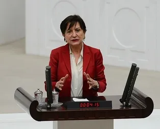 CHP’li Binnaz Toprak alay konusu oldu