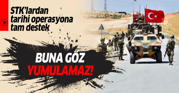 Son dakika: STK'lardan Barış Pınarı Harekatı'na tam destek