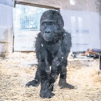 İstanbul’da yakalandı