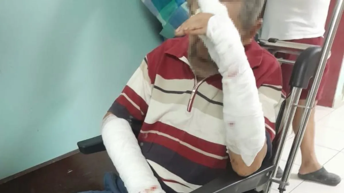 Balıkesir Manyas'ta yine başıboş köpek dehşeti! Yaşlı adam 5 köpeğin saldırısına uğradı