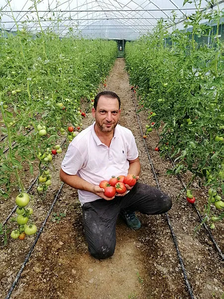 sehirde-dogup-buyuyen-adam-genc-ciftci-projesiyle-koyune-dondu-1593427644681.jpg Şehirde doğup büyüyen adam, "Genç Çiftçi" projesiyle köyüne döndü-4