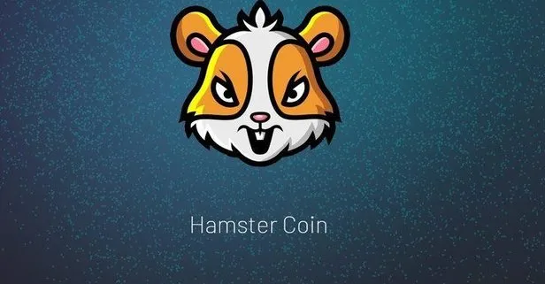 Hamster Coin fiyatları ne kadar, kaç TL? Hamster Coin nedir, nereden alınır? Elon Musk’dan yeni kripto paylaşımı!
