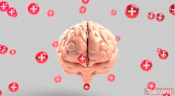 Harvardlı psikiyatrist saçıkladı: İlişkileri güçlendiren altı kelimelik soru ve bilimsel - 3