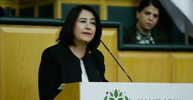 HDP Eş Genel Başkanı Kemalbay hakkında gözaltı kararı