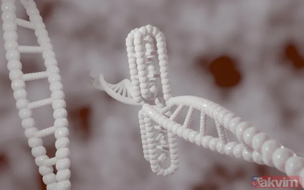 Kadınlar daha fazla risk altında Veriler, kadınların erkeklere oranla çevrelerinde daha fazla "sorunlu kişi" bildirdiğini gösteriyor. Prof. Brea Perry'ye...