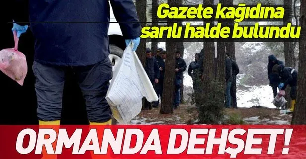 Edirne’de bulunan bir ormanda dehşet! Gazete kağıdına sarılı halde buldu
