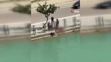 Adana’da kestiği koyunun kanı ve dışkısıyla kanalı kirleten kişiye 74 bin lira ceza