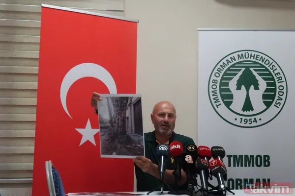 İBB'nin Çırağan'daki ağaç katliamının raporu açıklandı! Bilimsel çalışma yapılmadığı ortaya çıktı - 5