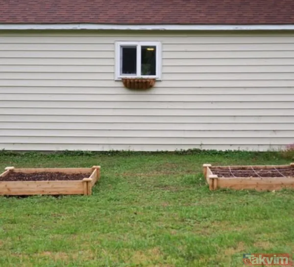 Sağlam yumurtadan yavaş yavaş ihtiyacı olan minerali alan bitkiler, daha iyi büyüyüp gelişirler.