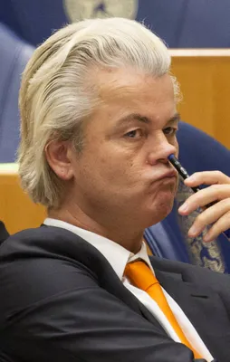 Gurbetçilerin 'Evet' oyları Avrupa'yı çıldırttı