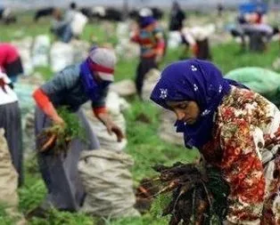 Mevsimlik tarım işçisine yeni proje