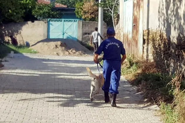 Tire'de kayıp bebek alarmı