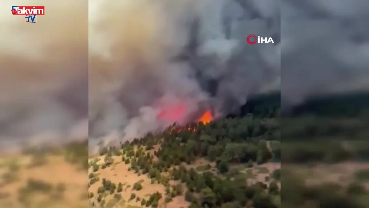 Doğanhisar ormanı alev alev!