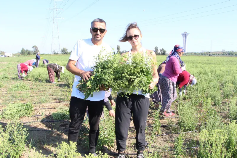 17 yıllık mesleğini bıraktı, servetine servet kattı - 11