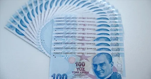 Varlık barışı nedir? Varlık barışı şartları nelerdir? Kimler varlık barışı yapabilir?