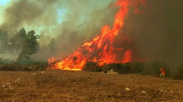 Antalya'daki yangında hortum paniği! Canlarını zor kurtardılar-2