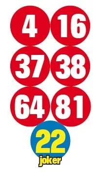 İstanbul'un orta yerinde aslan şoku! Ekipler harekete geçti-10