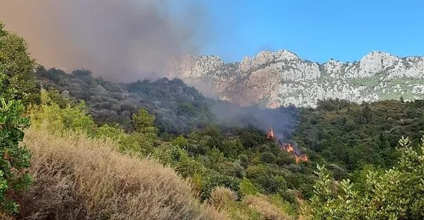 5 ilde orman yangını! İyi haber geldi! Hepsi kontrol altına alındı