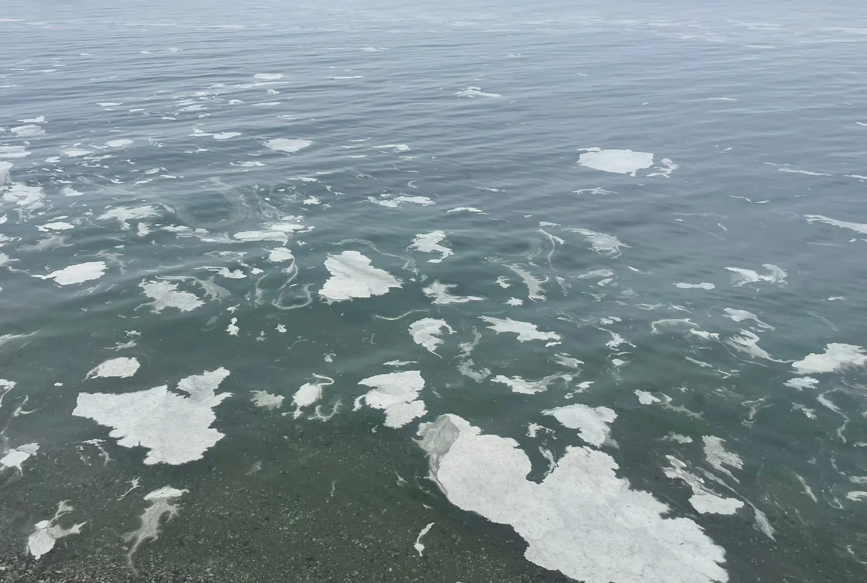 İstanbul’dan sonra şimdi de Mudanya